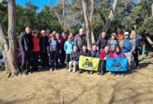 Rapska avantura Gromovčana