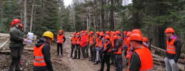 Terenska nastava šumarskih tehničara SŠ Otočac na području Šumarije Vrhovine