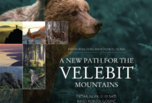 Premijera kratkog dokumentarnog filma “A NEW PATH FOR THE VELEBIT MOUNTAINS”