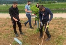 Uređen drvored uz Gacku