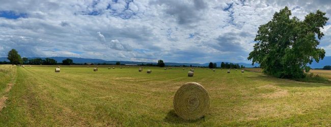 Otvoren 8. natječaj za izbor najboljeg hrvatskog mladog poljoprivrednika