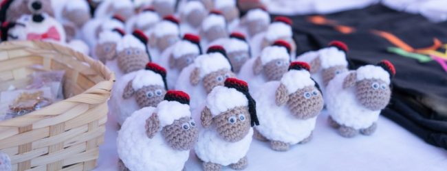 Sutra se održava 5. The Coklje Fest