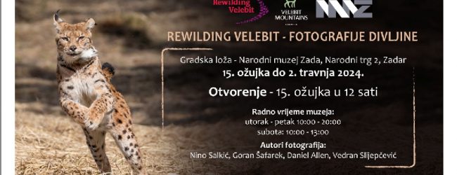 Izložba fotografija velebitske divljine