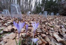 Srednja škola Otočac uključena u znanstveni projekt švicarskog instituta WSL