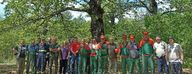 Dobra vijest za Laudonov gaj – uskoro će biti izgrađena učionica na otvorenom