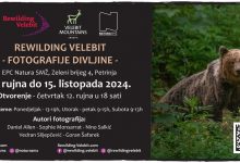Otvorenje izložbe “Rewilding Velebit – fotografije divljine”