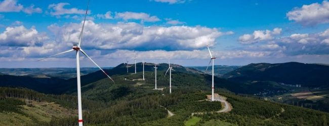 Vjetroelektrana Lički medvjed: Istine o postupku procjene utjecaja na okoliš