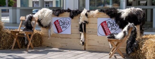 Održan 6. The Coklje Fest u Otočcu