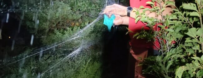 Na području NP Sjeverni Velebit započeo projekat istraživanja šišmiša