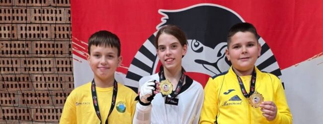 Dva zlata i srebro za Gacku na  11. ČIGRA OPEN – KOREAN AMBASSADOR’S kupu