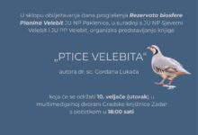 Predstavljanje knjige  „PTICE VELEBITA“ 
