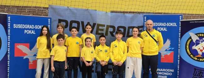 Sjajan uspjeh Taekwondo kluba Gacka na 23. Susedgrad Sokol Pokalu: Vita Pemper i Lovro Rajković zlatni!