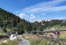 Grad Senj i NP Sjeverni Velebit pokreću revitalizaciju Velebitskog botaničkog vrta na Zavižanu