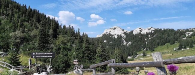 Grad Senj i NP Sjeverni Velebit pokreću revitalizaciju Velebitskog botaničkog vrta na Zavižanu