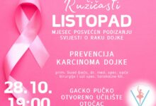 Ružičasti listopad u Otočcu