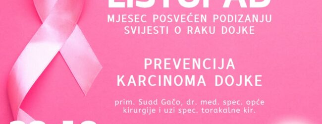 Ružičasti listopad u Otočcu