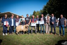 Održana 16. izložba ličke pramenke